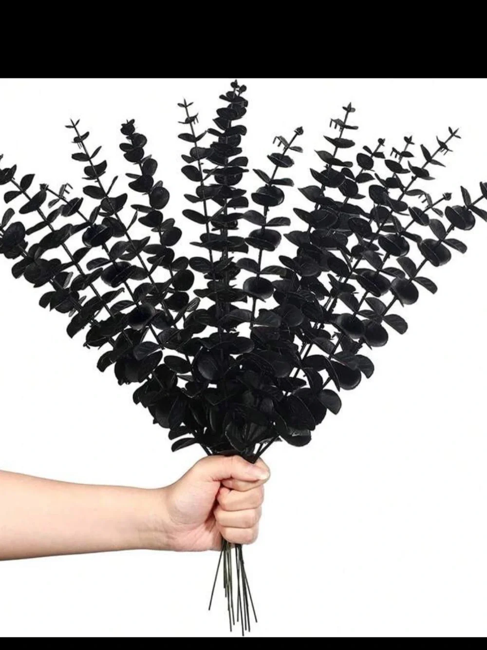 Black Artificial Eucalyptus Stems- 10 piece Set NEW 🏷️